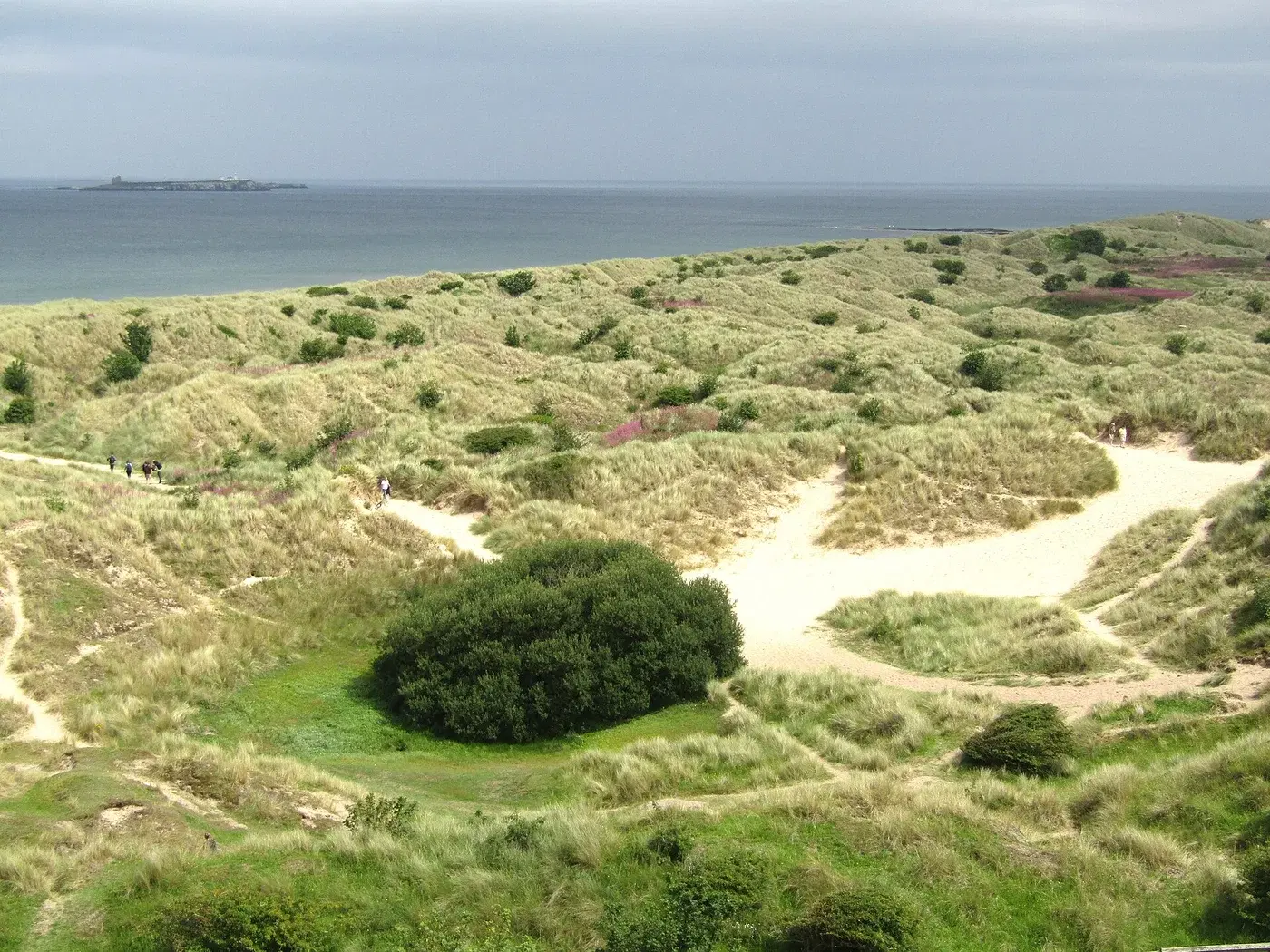 Best Beaches
